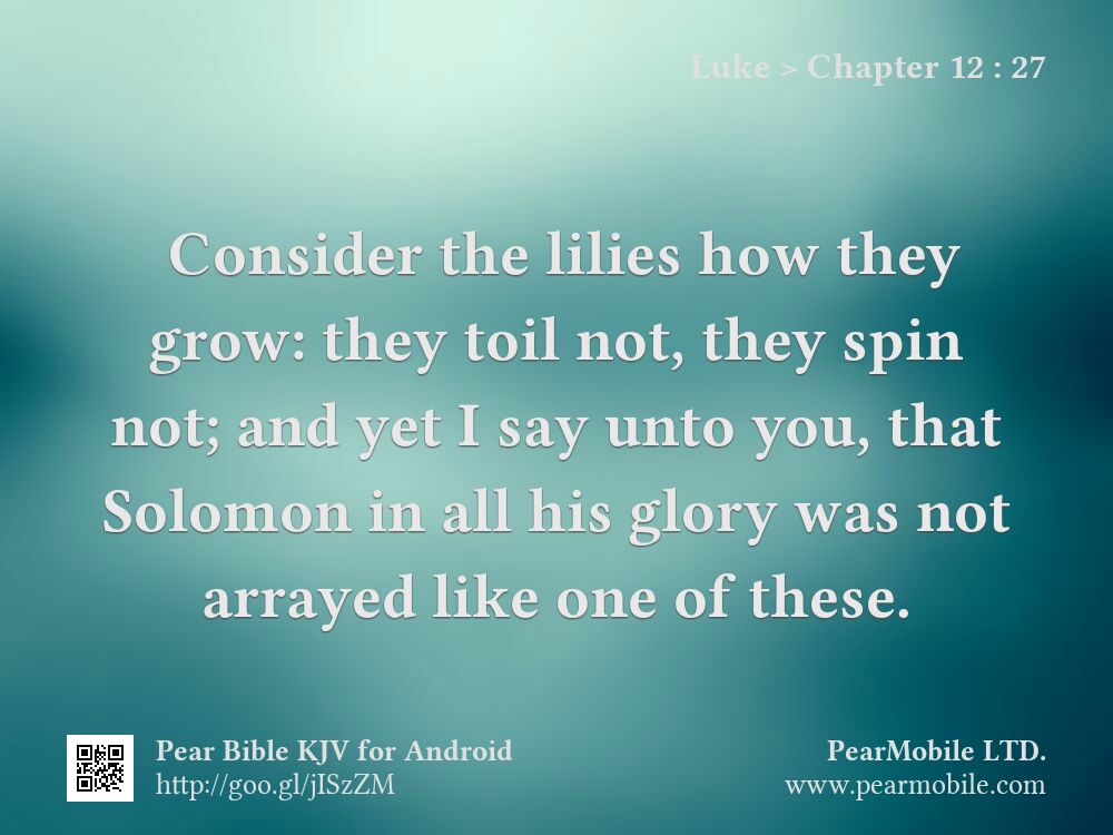 Luke, Chapter 12:27